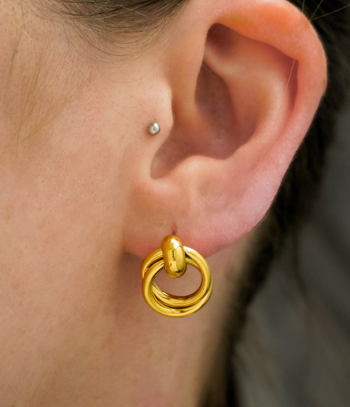 Gold Looped Stainless Steel Earrings