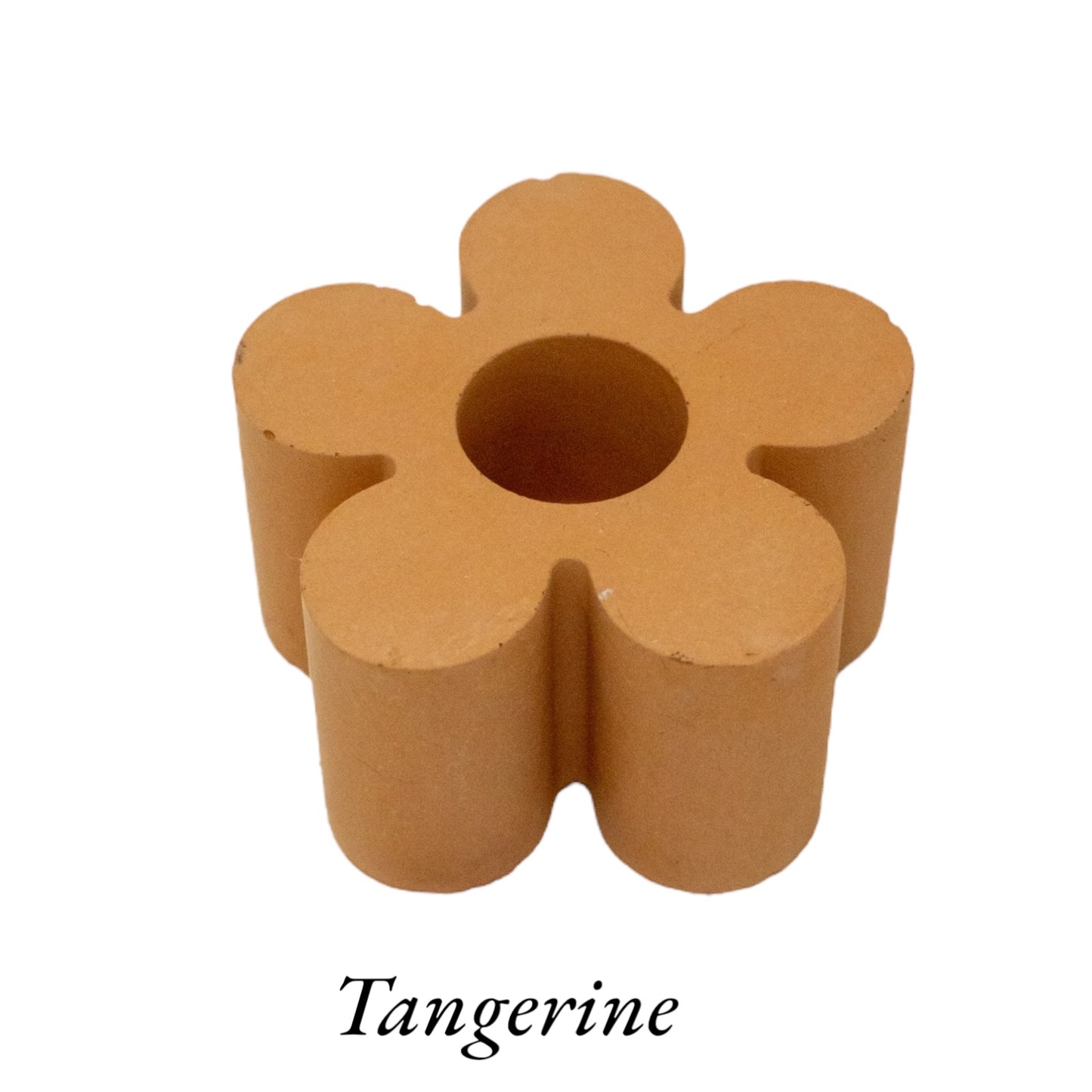 Flower Airplant Holders