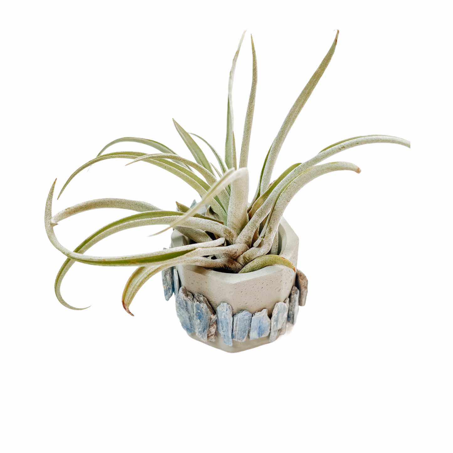 Mini Hexagonal Blue Kyanite Cement Planter