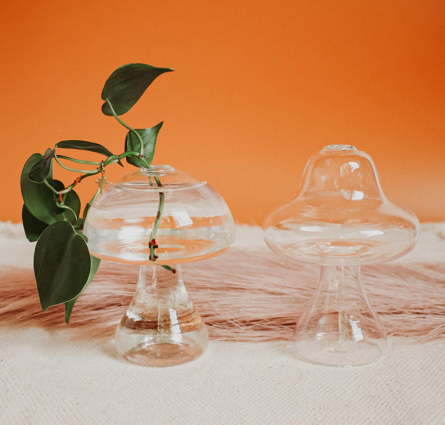 Glass Propagation Mushroom