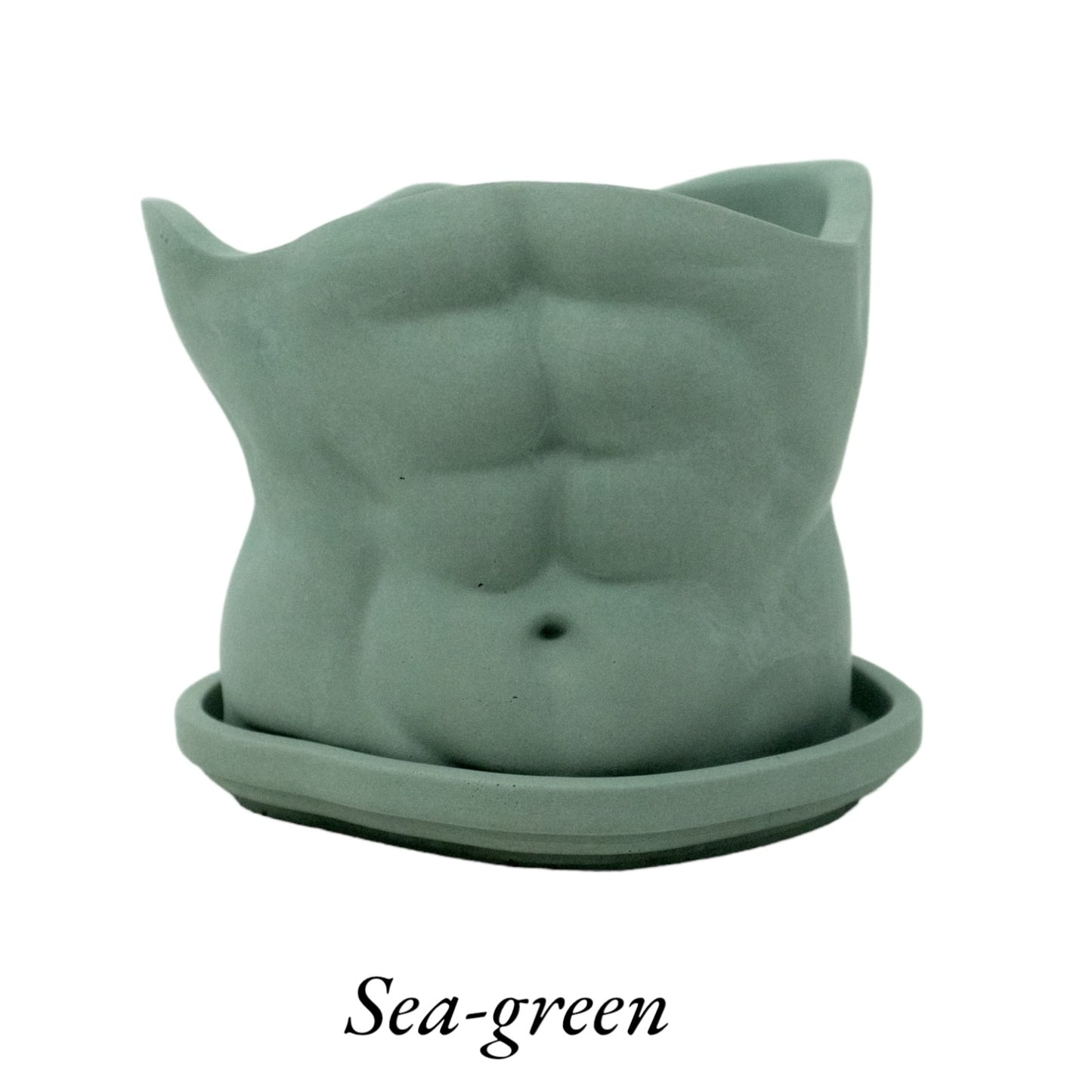 Abs Planter