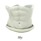 Abs Planter