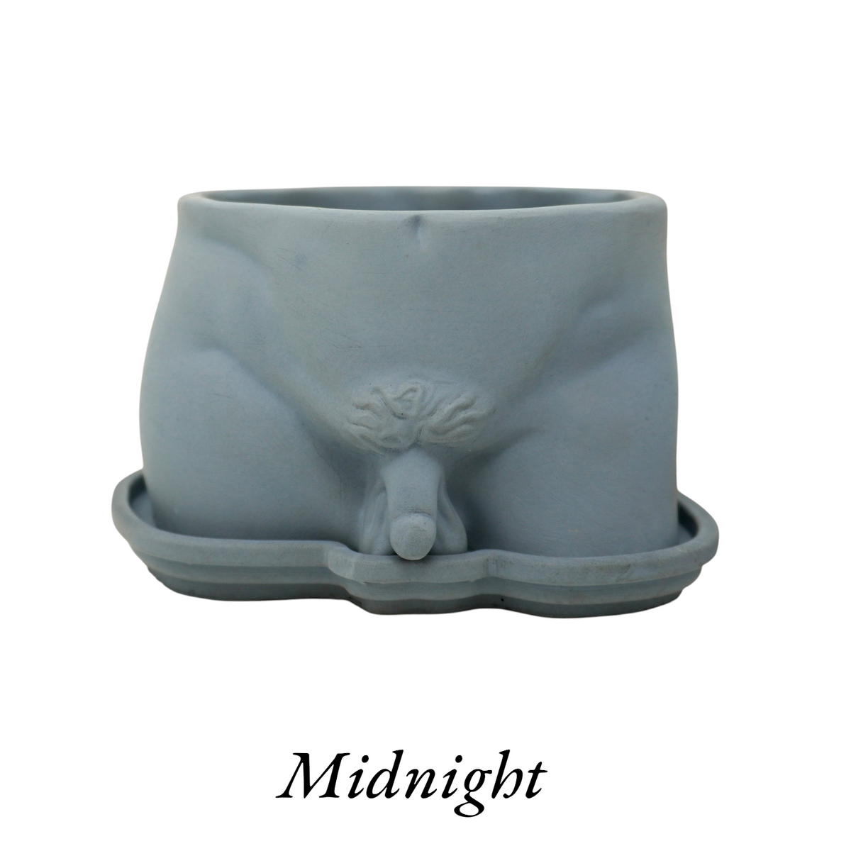 Naked Man Penis Planter