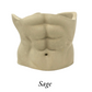 Abs Planter