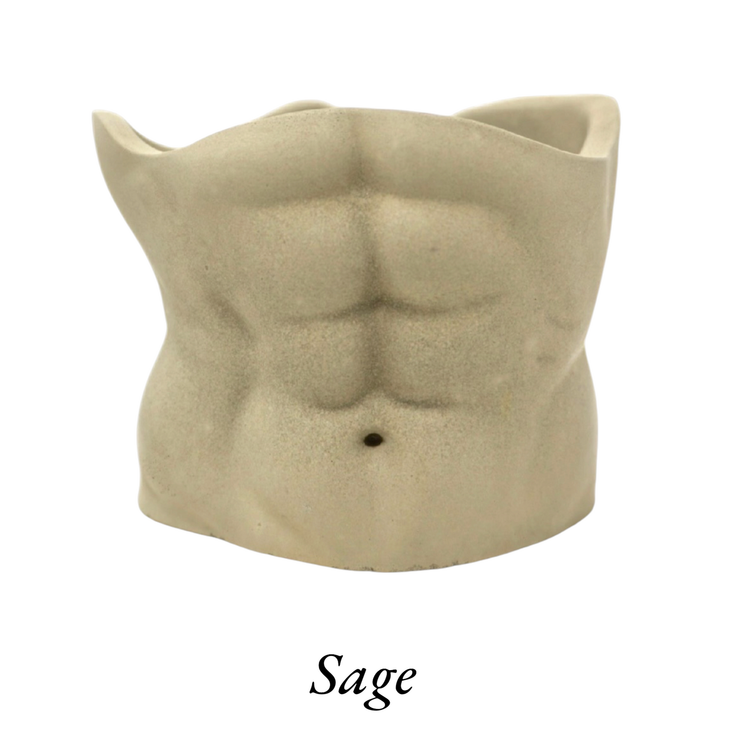 Abs Planter