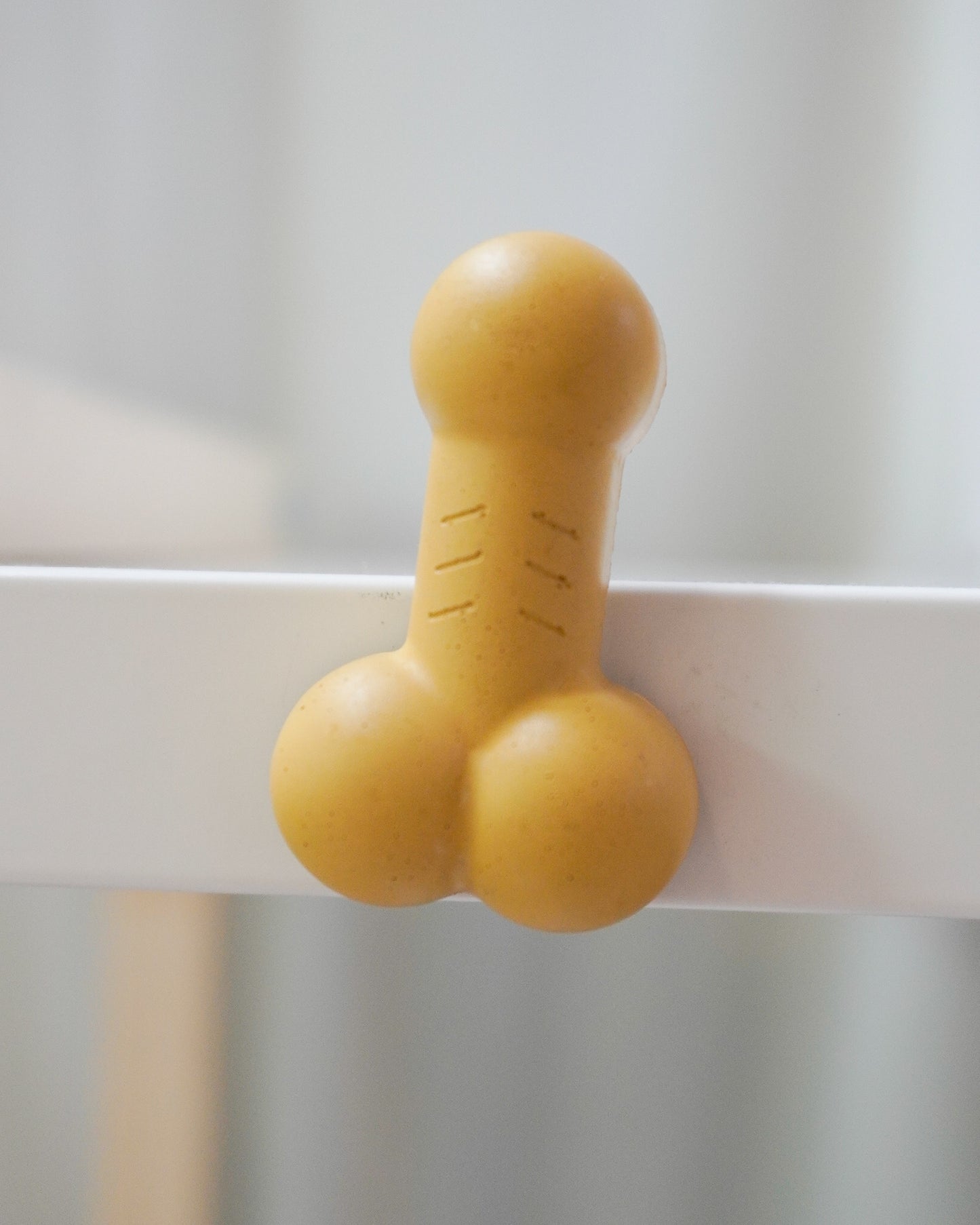 Penis & Vulva Cement Magnet
