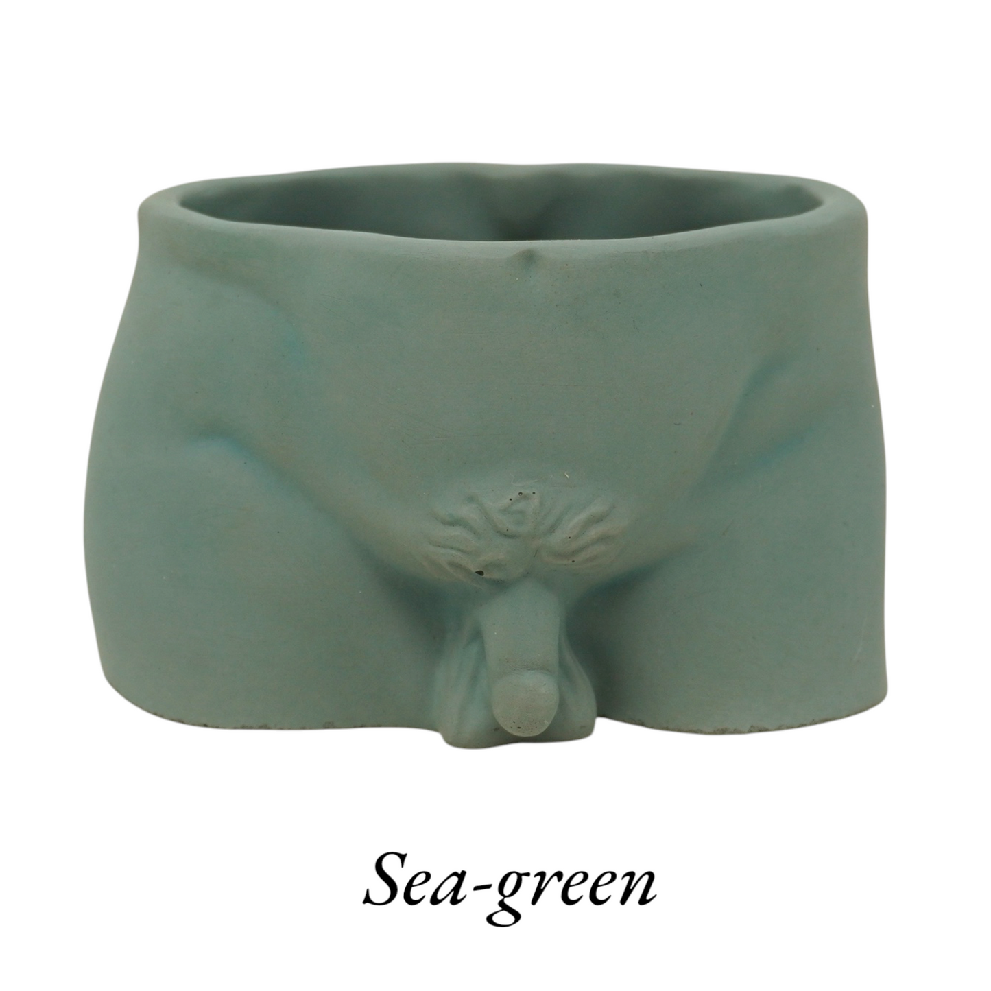 Naked Man Penis Planter