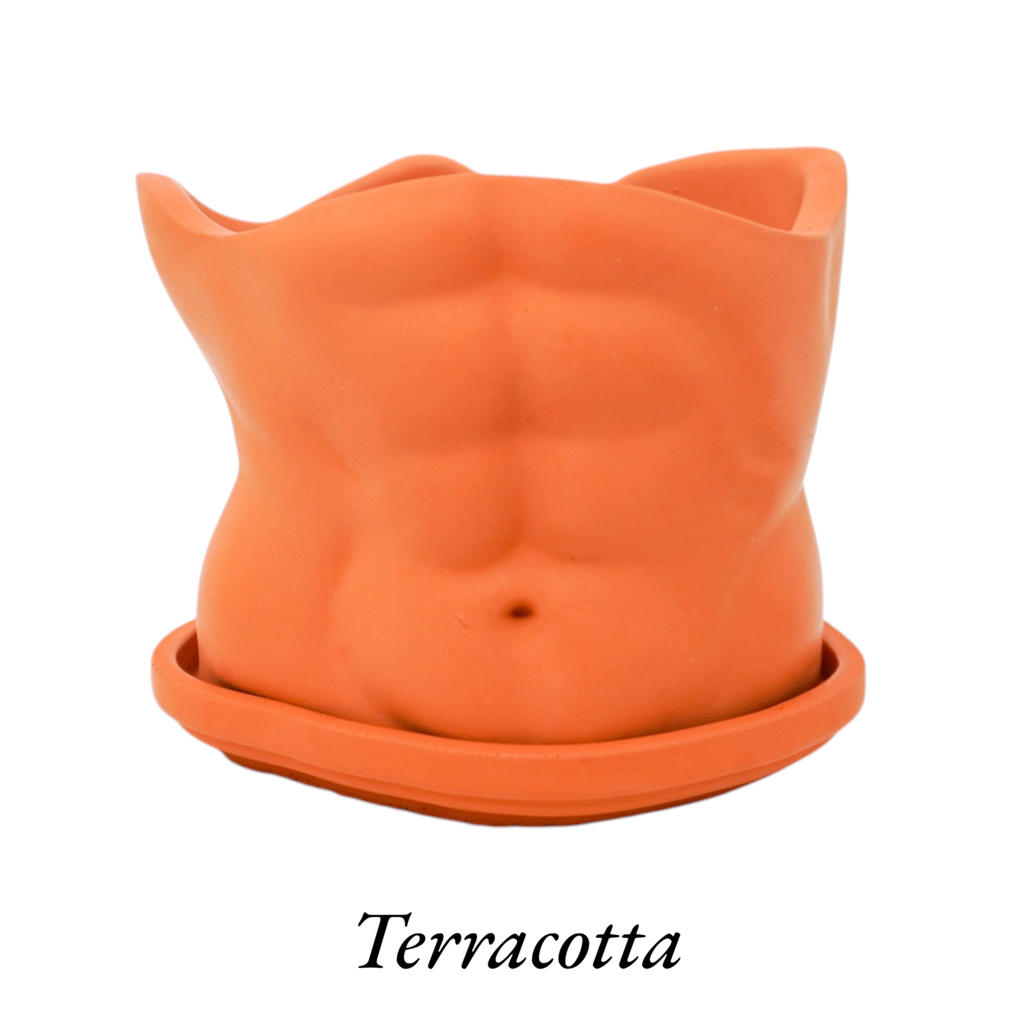 Abs Planter