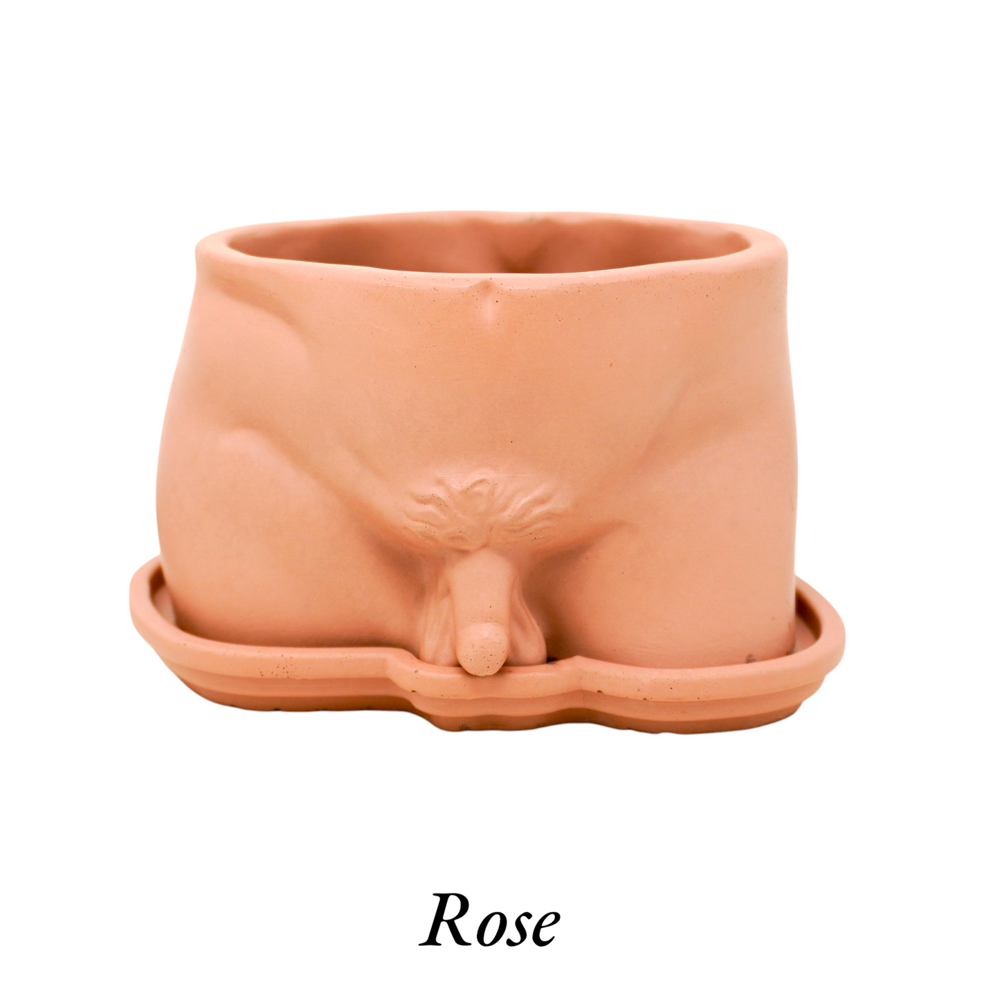 Naked Man Penis Planter