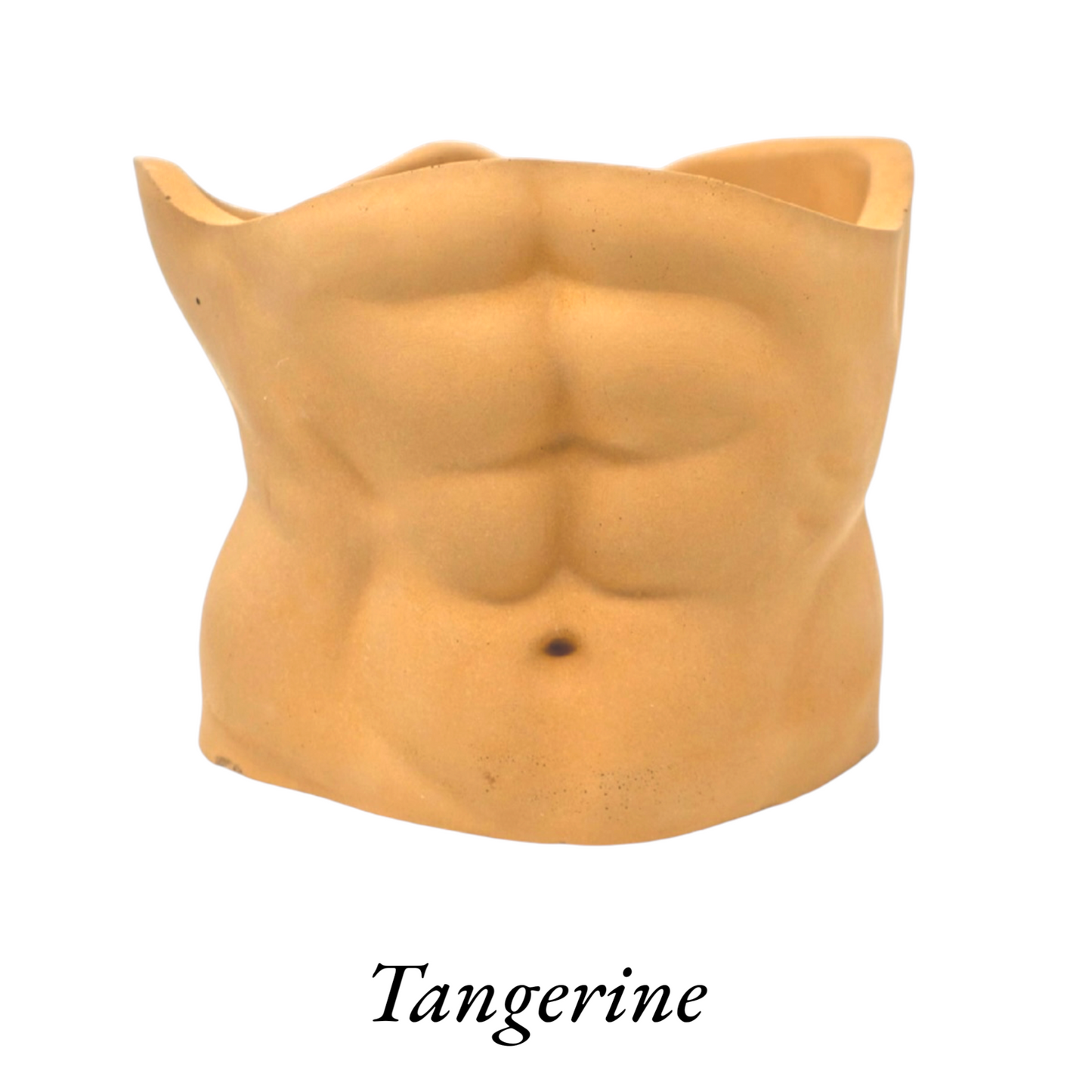 Abs Planter
