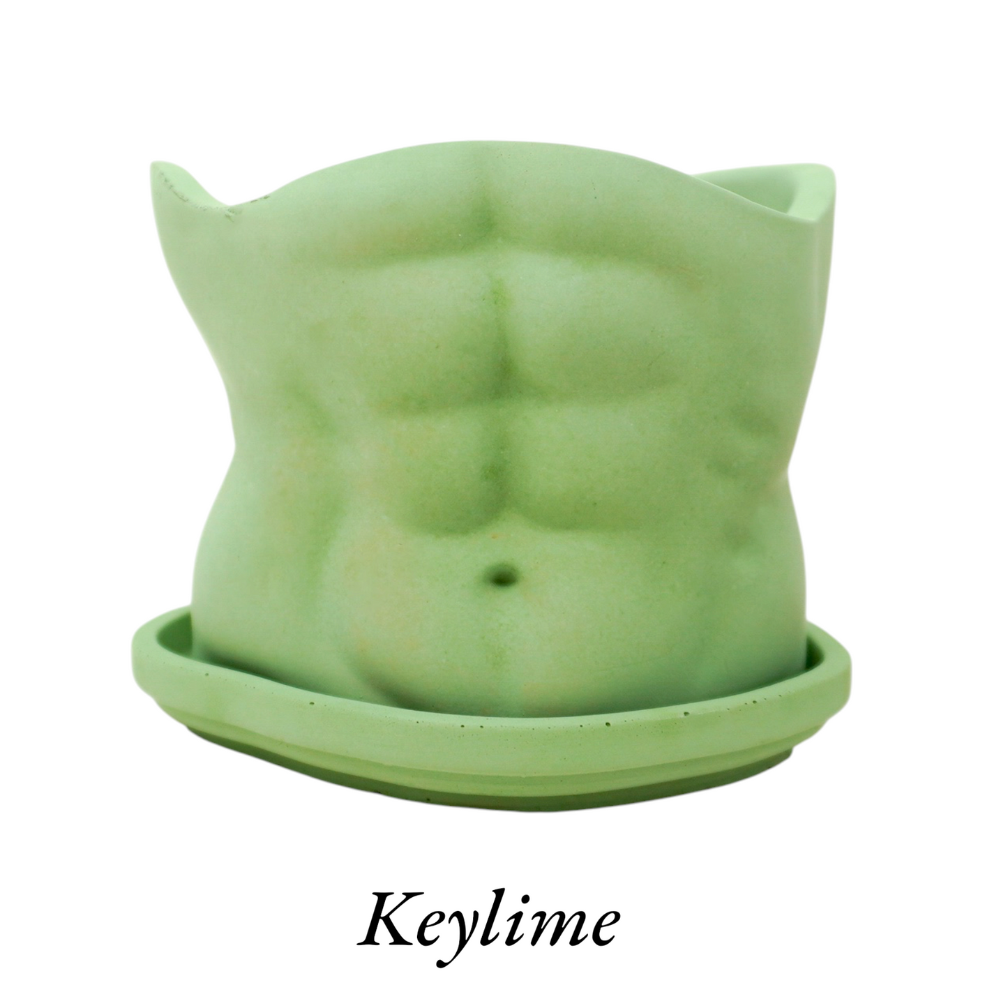 Abs Planter