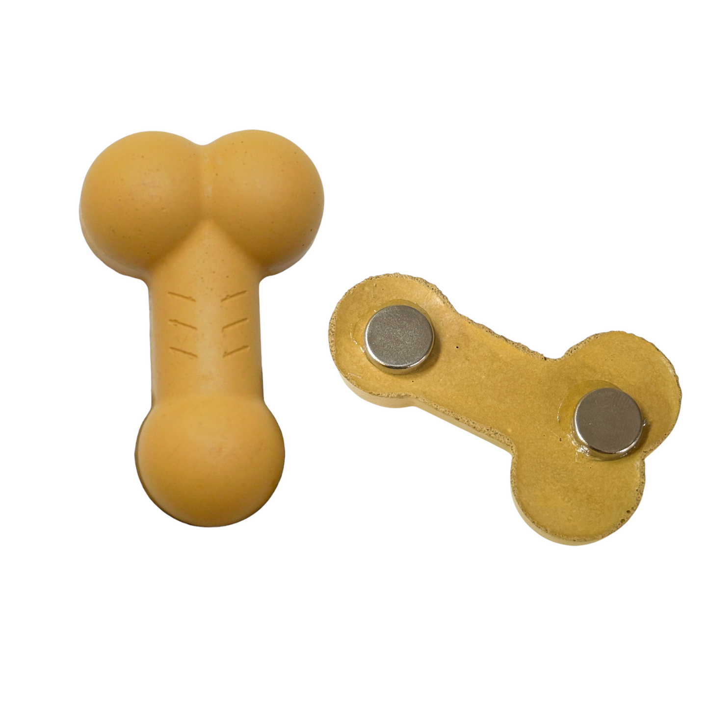 Penis & Vulva Cement Magnet
