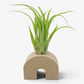 Rainbow Airplant Holders