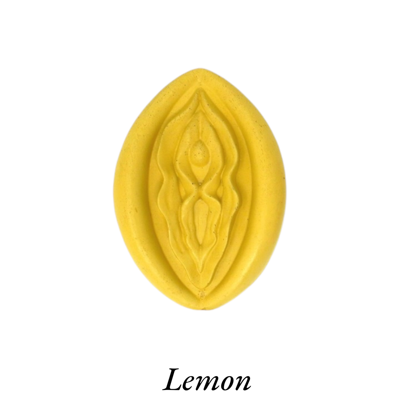 Penis & Vulva Cement Magnet