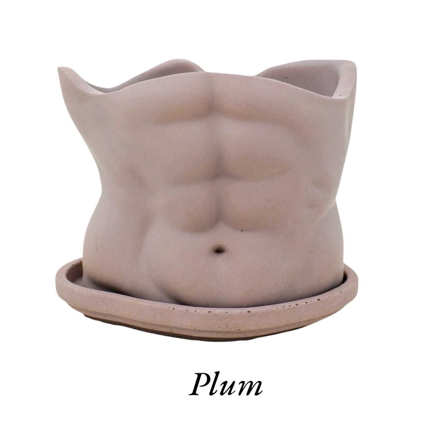 Abs Planter