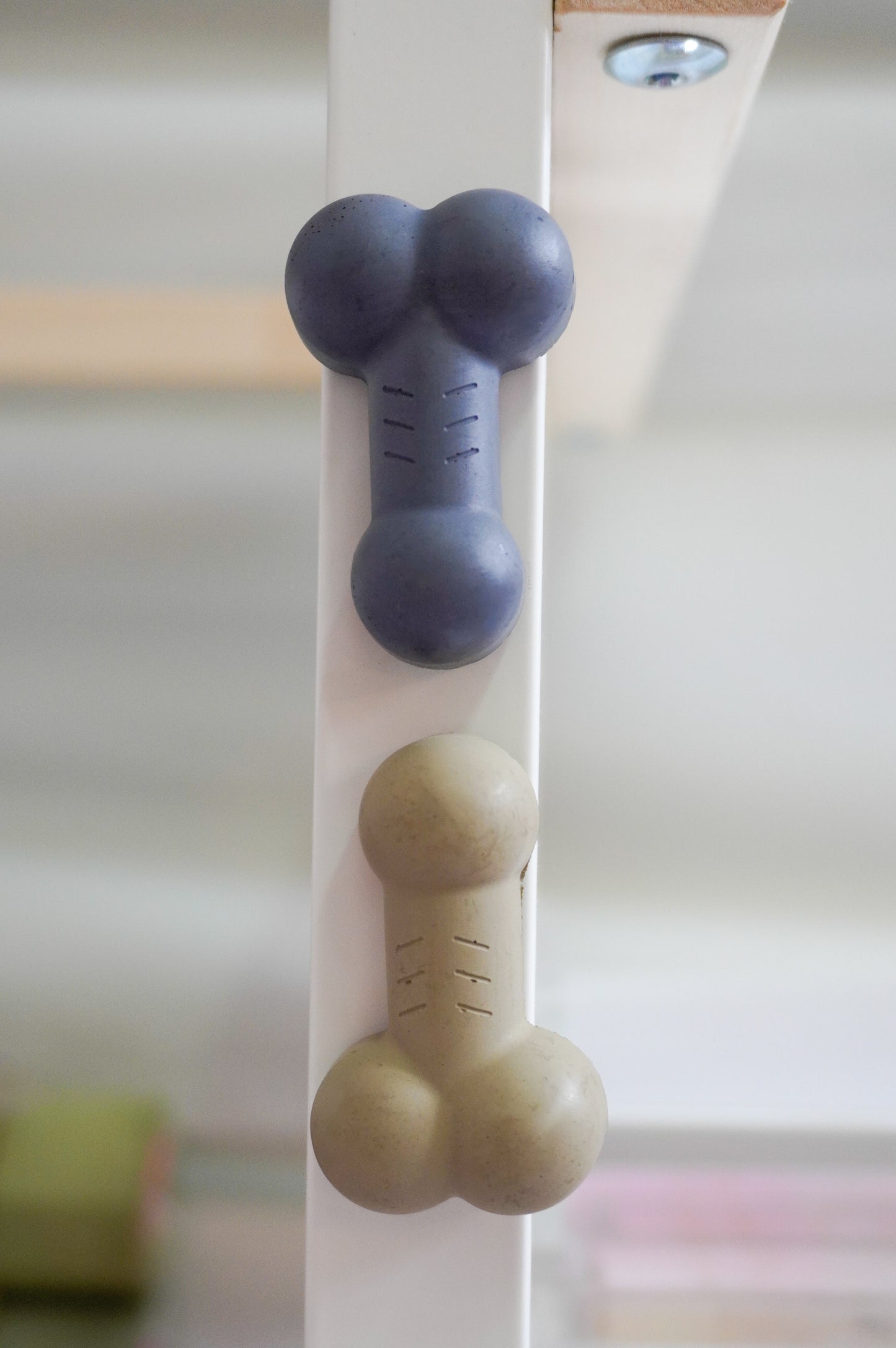Penis & Vulva Cement Magnet