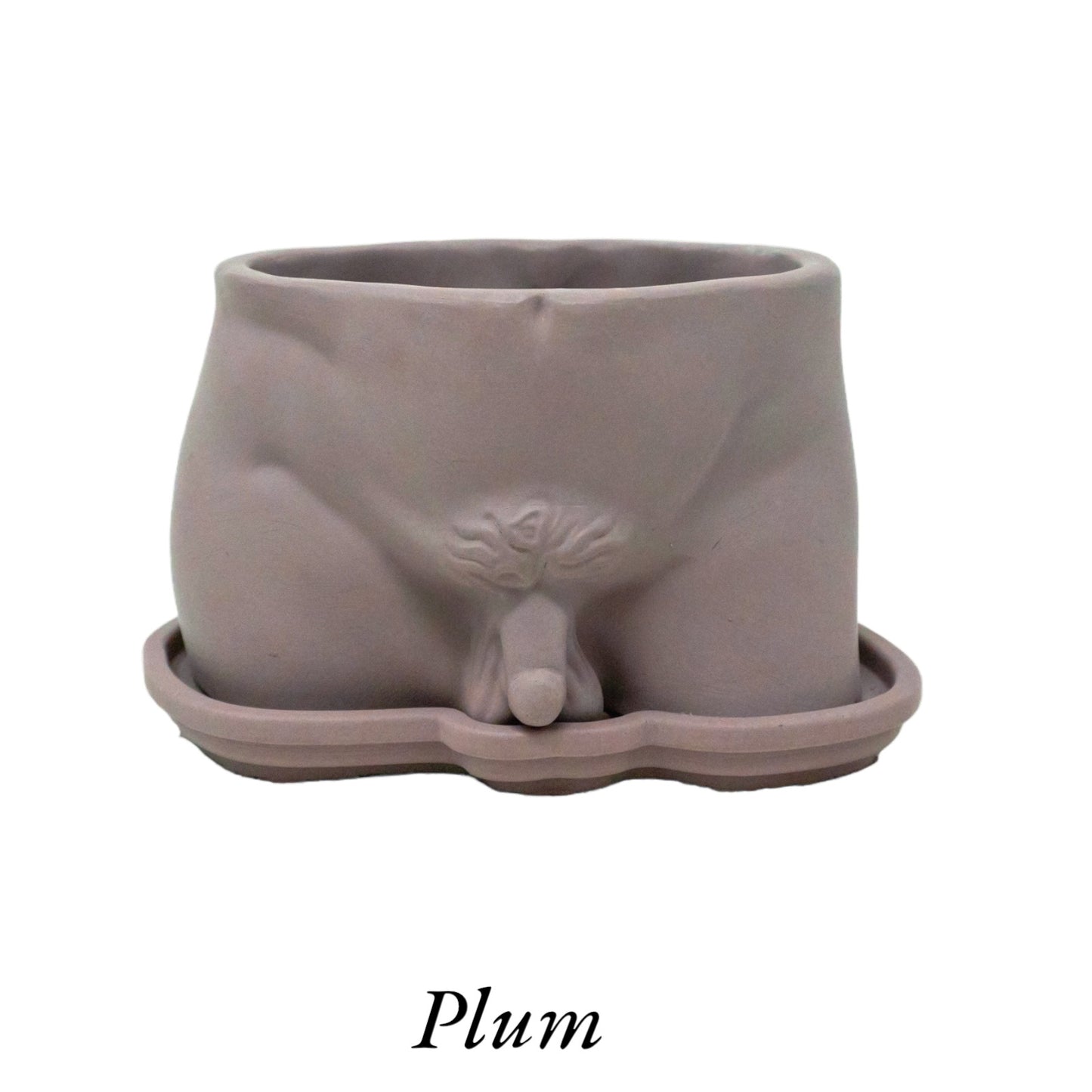 Naked Man Penis Planter