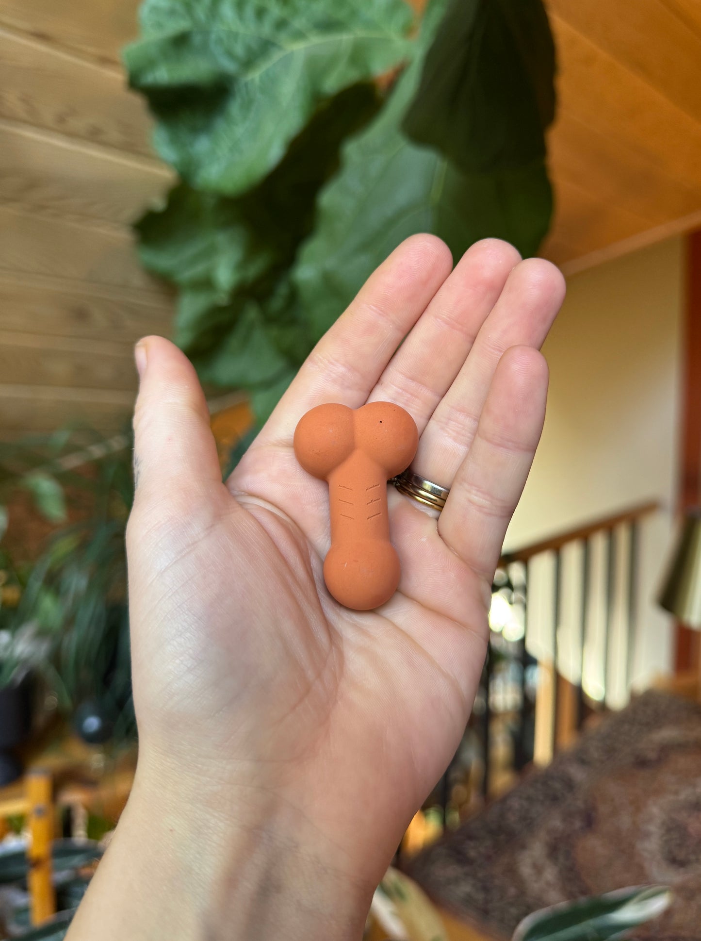 Penis & Vulva Cement Magnet