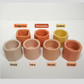 Mini Round & Square Cement Planters