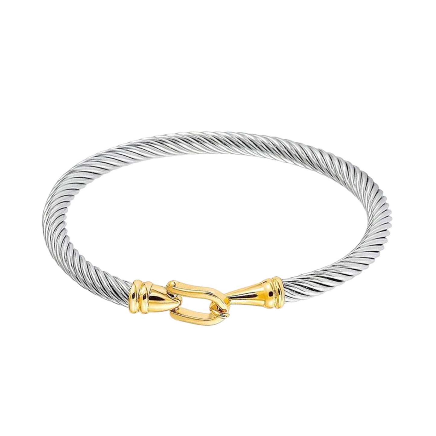 Dual Toned Hook Stainless Steel Bangle Bracelet