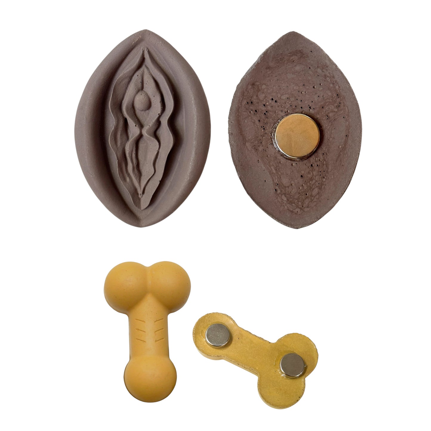 Penis & Vulva Cement Magnet