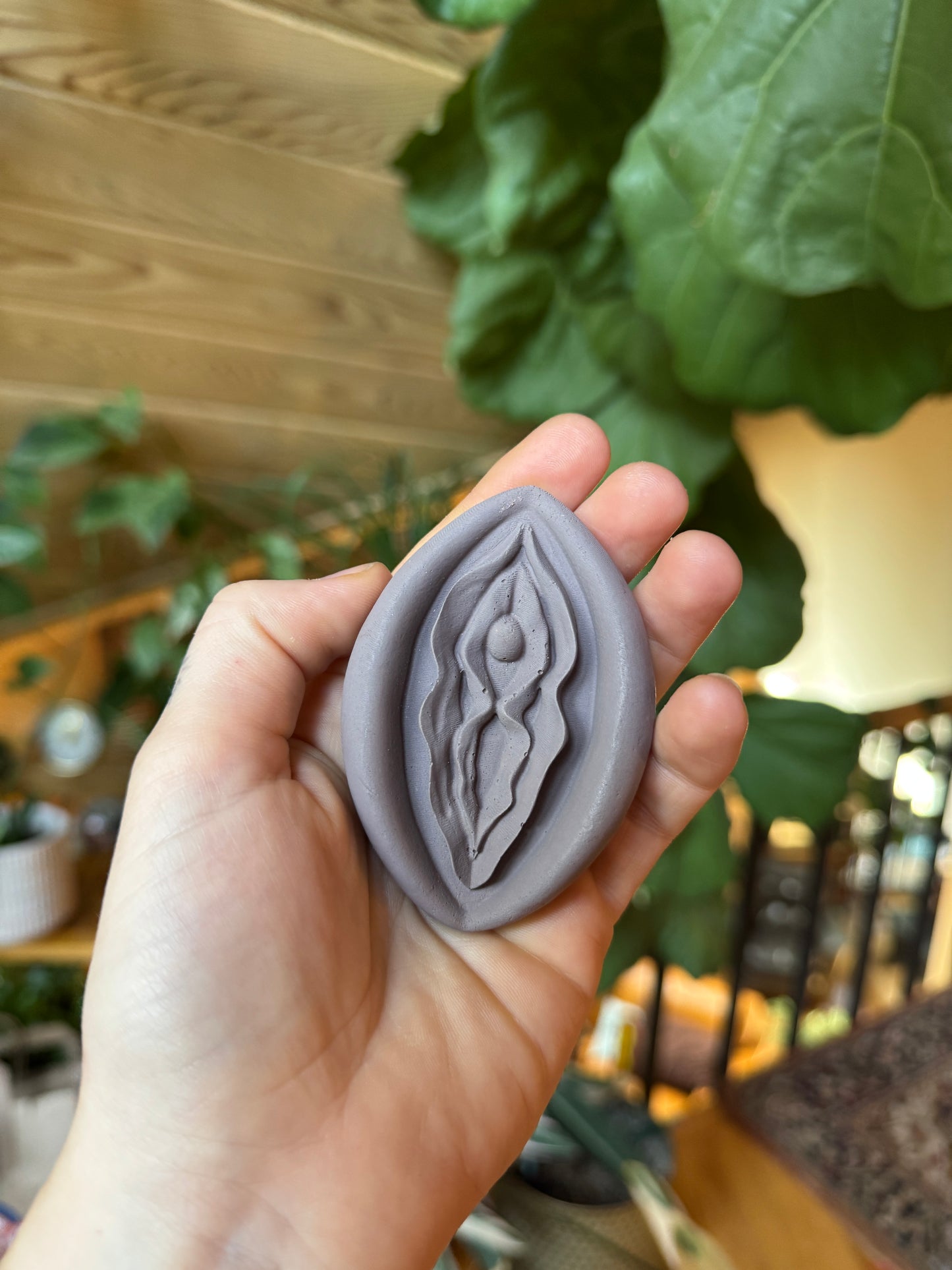 Penis & Vulva Cement Magnet