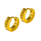 Mini Star Huggie Stainless Steel Hoops