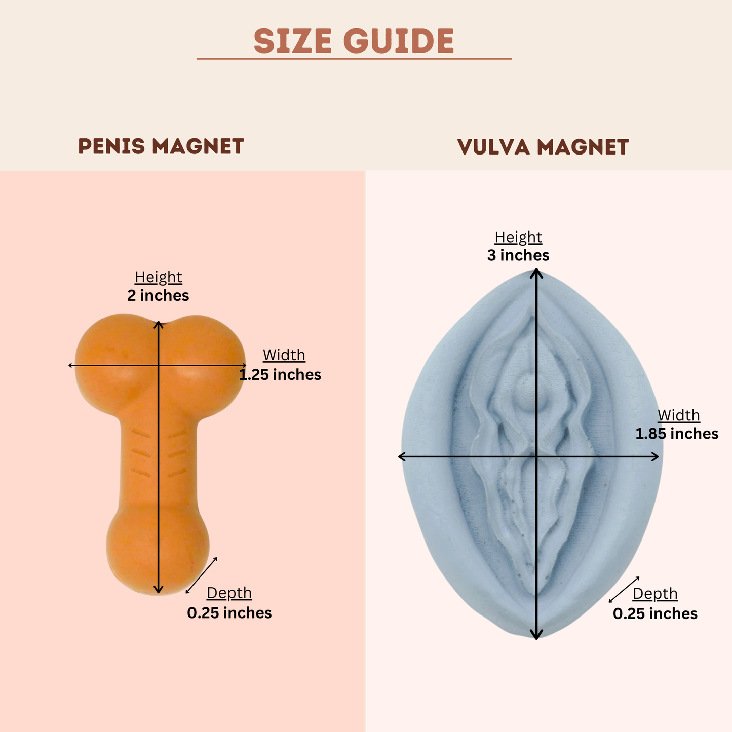 Penis & Vulva Cement Magnet