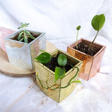 disco plant pot Square Disco Ball Planter