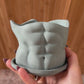 Abs Planter