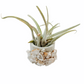 Real Geode Stone Cement Planter