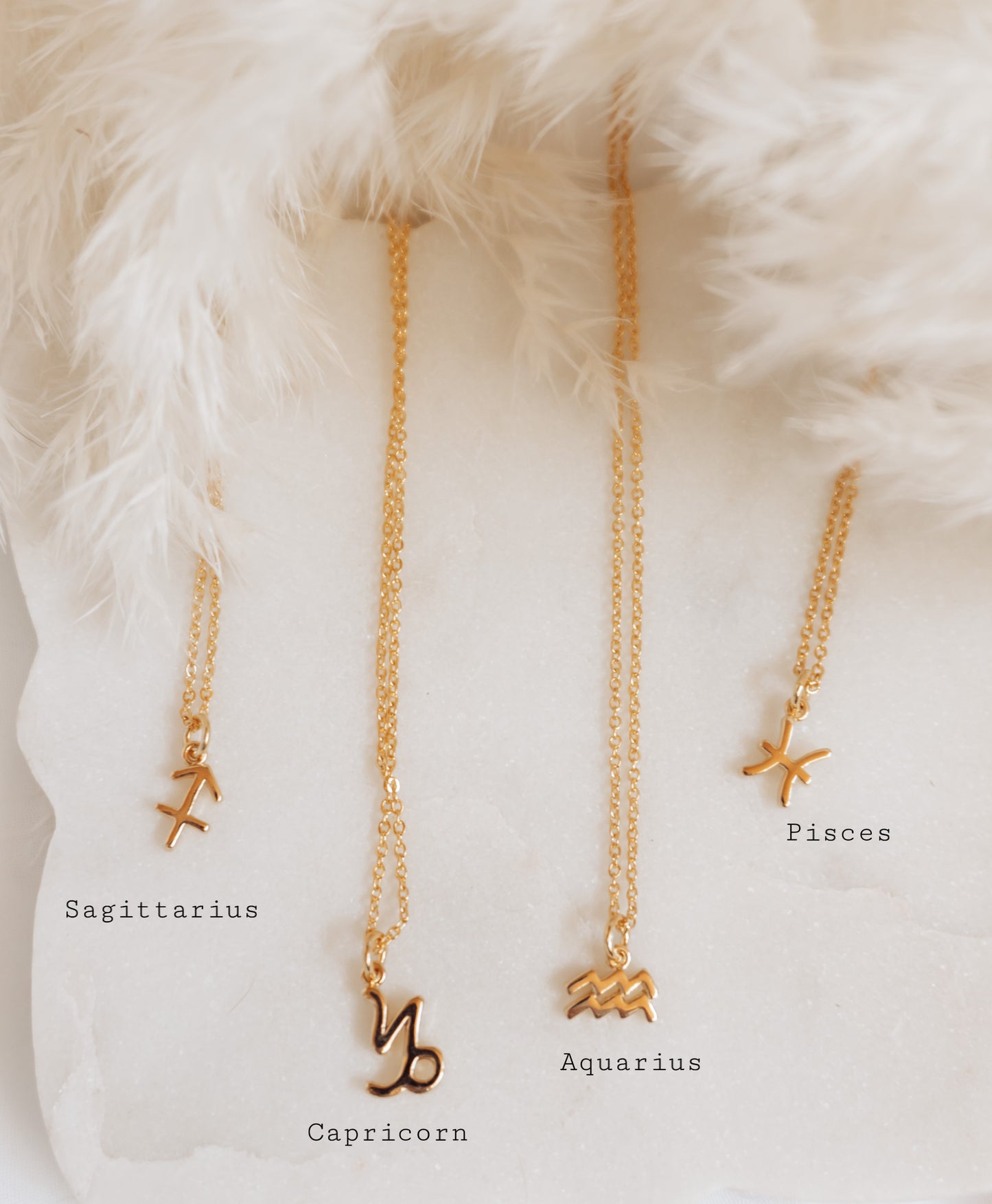 Zodiac 16k Gold Necklaces